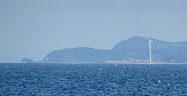津井海岸8.jpg
