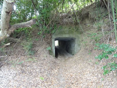 素掘りトンネル8.JPG